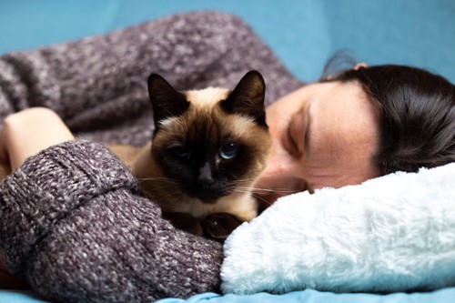 寝ている女性の枕元にいる猫