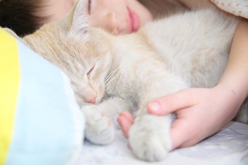 一緒に寝る猫と少年