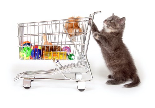 ショッピングカートと子猫