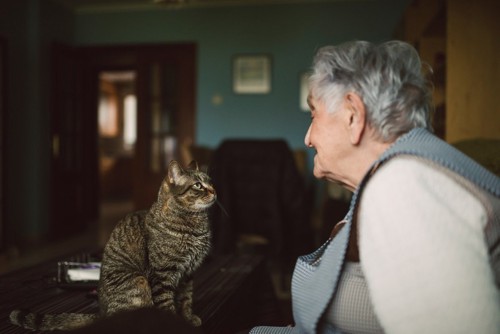 猫とおばあさん