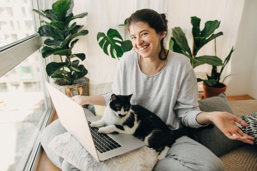 パソコンをしている女性の膝に乗る猫
