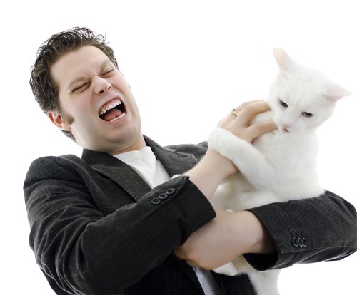 怒っている白猫と男性
