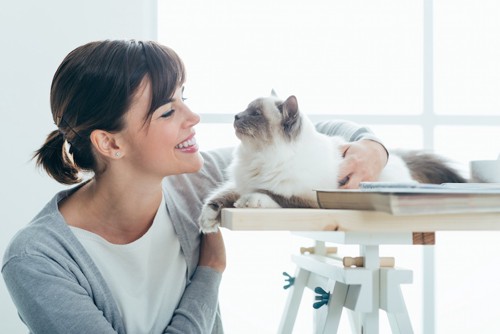 机の上の猫と見つめ合う女性