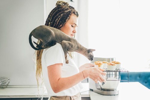 肩に乗る猫と料理中の女性