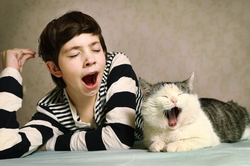 あくびをする猫と男の子