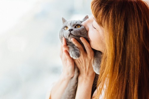 グレーの猫にキスをする女性