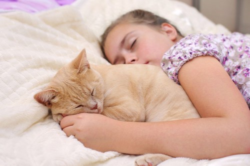 少女と一緒に眠る猫