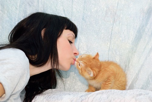女性と子猫の鼻キス