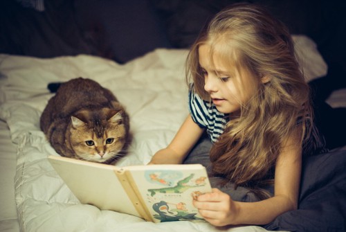本を読む女の子とキジトラ