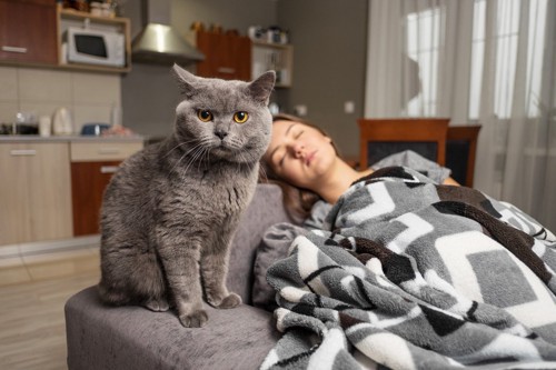 寝ている女性の前で不機嫌そうな猫