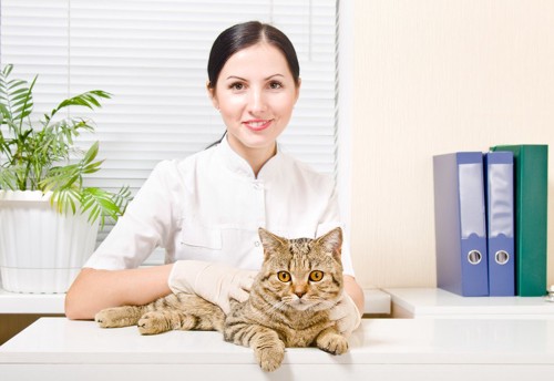 女性獣医師と猫