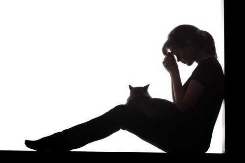 猫と悲しむ女性のシルエット