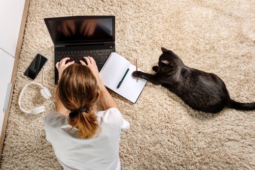 パソコンに向かう女性と黒猫