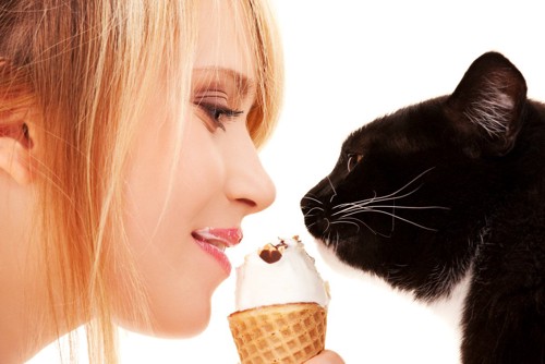 アイスクリームを挟む女性と猫