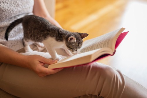 本読む人と猫