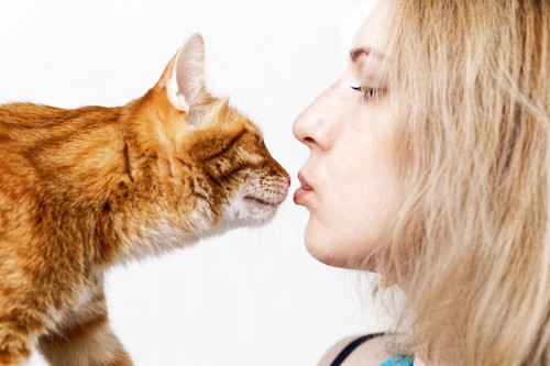 キスをしようとしている女性と猫