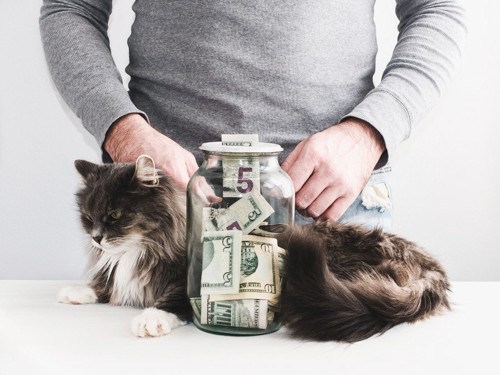 猫とお金