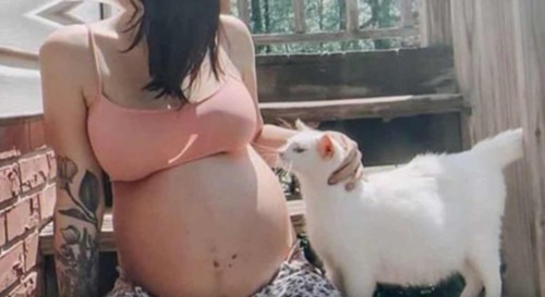 妊婦さんと妊娠中の白猫