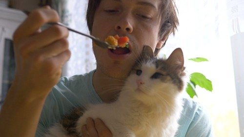 人間の食事を与えられようとする猫