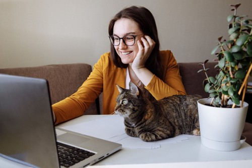 パソコンを見る猫と女性