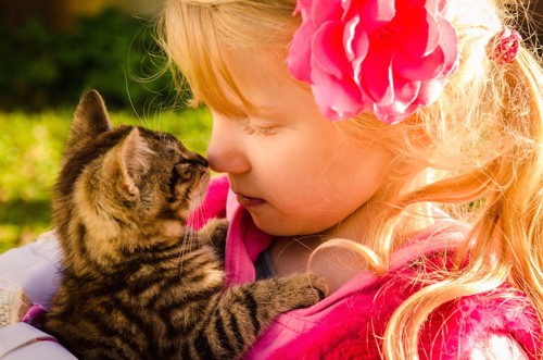 可愛すぎる子猫を抱いて鼻キスをする少女
