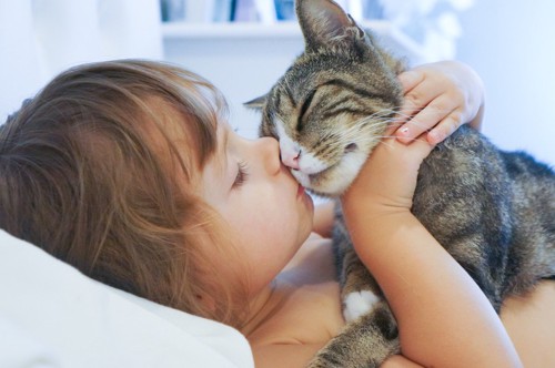 子供にキスをされる猫