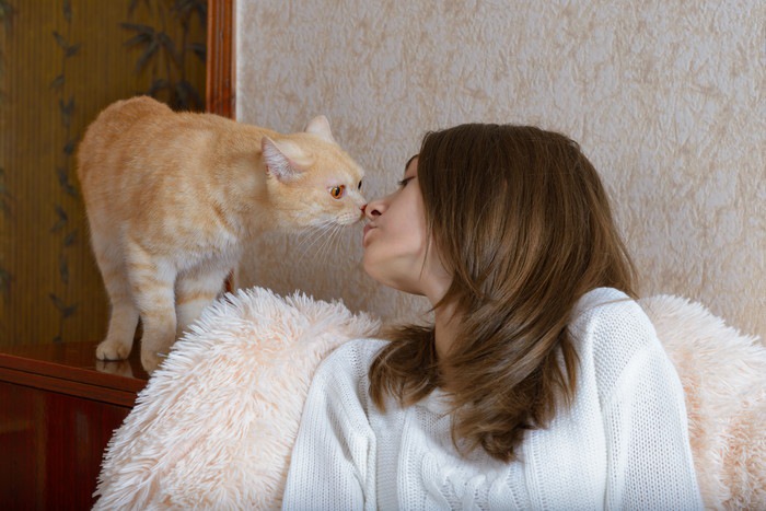 鼻キスする女性と猫