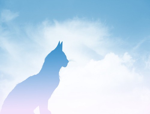 青い空に浮かぶ猫のシルエット