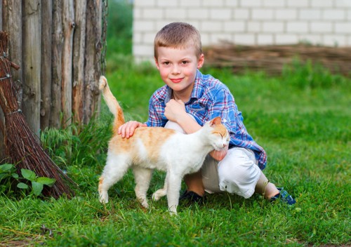 しっぽの付け根を少年に触られる猫