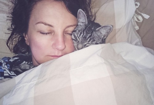 一緒の布団で眠る子猫