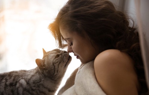 女性の口に鼻をつける猫