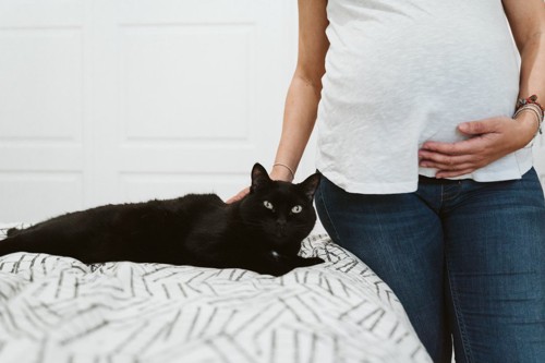 黒猫を撫でる妊婦