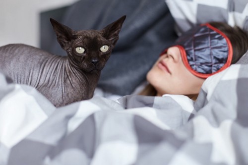 寝ている女性の布団に乗る猫