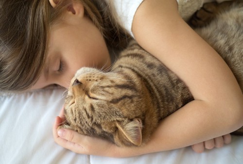 一緒に寝ている猫と少女