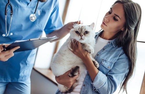病院で女性に抱かれる猫