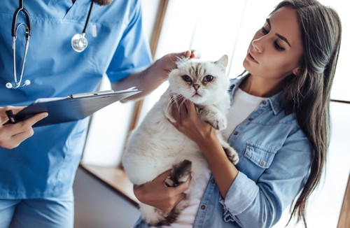 獣医師と会話をする猫を抱いた女性