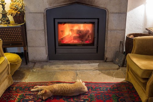 暖炉と猫