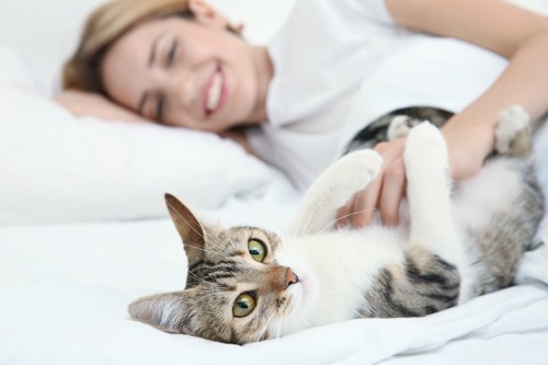 ベッドで猫のお腹を触っている女性