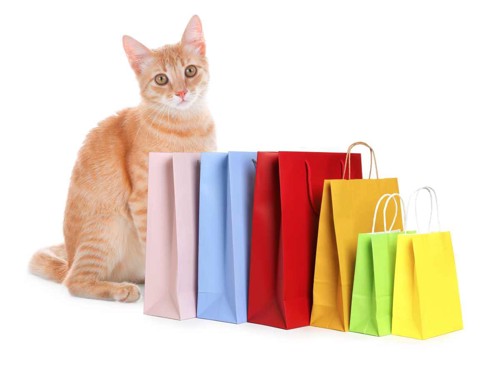 ショッピングバッグと猫
