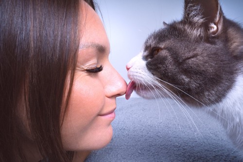 猫に鼻を舐められる女性