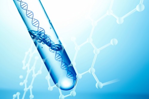 DNA実験イメージ