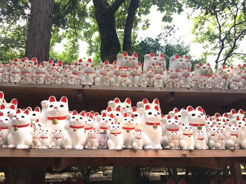 たくさん並べられた豪徳寺の招き猫