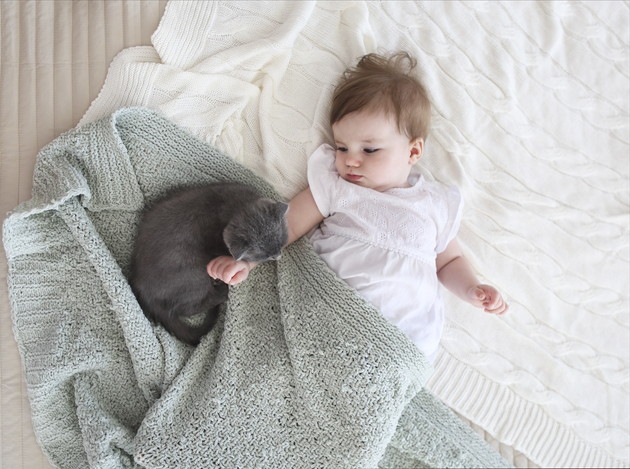 人間の赤ちゃんを見ている猫