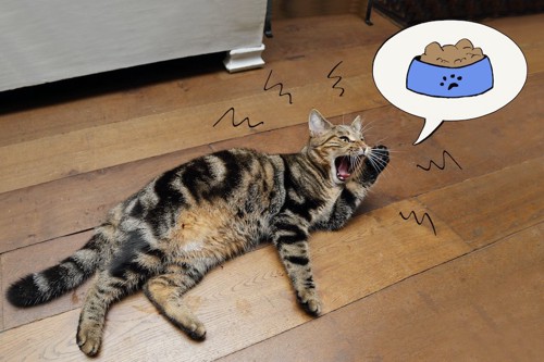 寝転んで食事を想像して大きく口を開ける猫