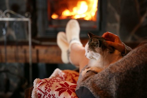 暖炉と猫