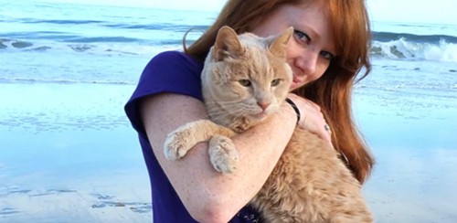 猫を抱っこする女性