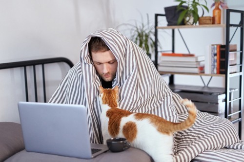 仕事をしている男性を心配する猫