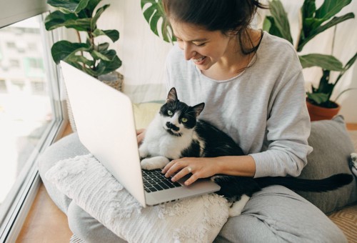 パソコンへ乗る猫と女性