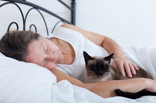 眠る女性と一緒にいる猫