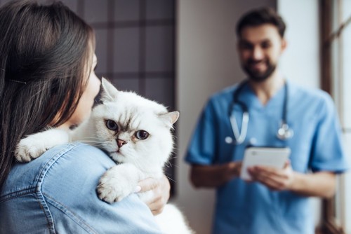 病院で獣医師と話す飼い主に抱っこしてもらう猫